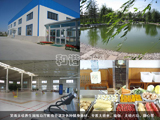 Ц��̫�O�B(y��ng)���@�����d���п��{(di��o)�����N��������������̫�Oȭ���٤��̫�O��(n��i)�����o�ĵ�