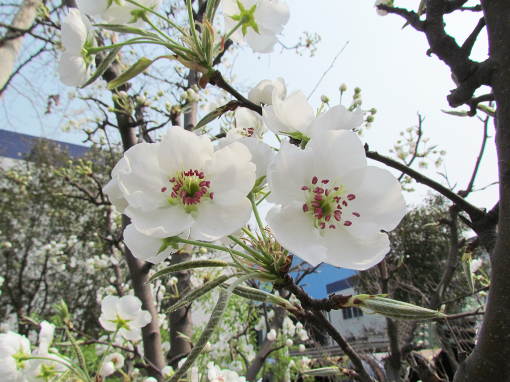 花園式廠區(qū)環(huán)境