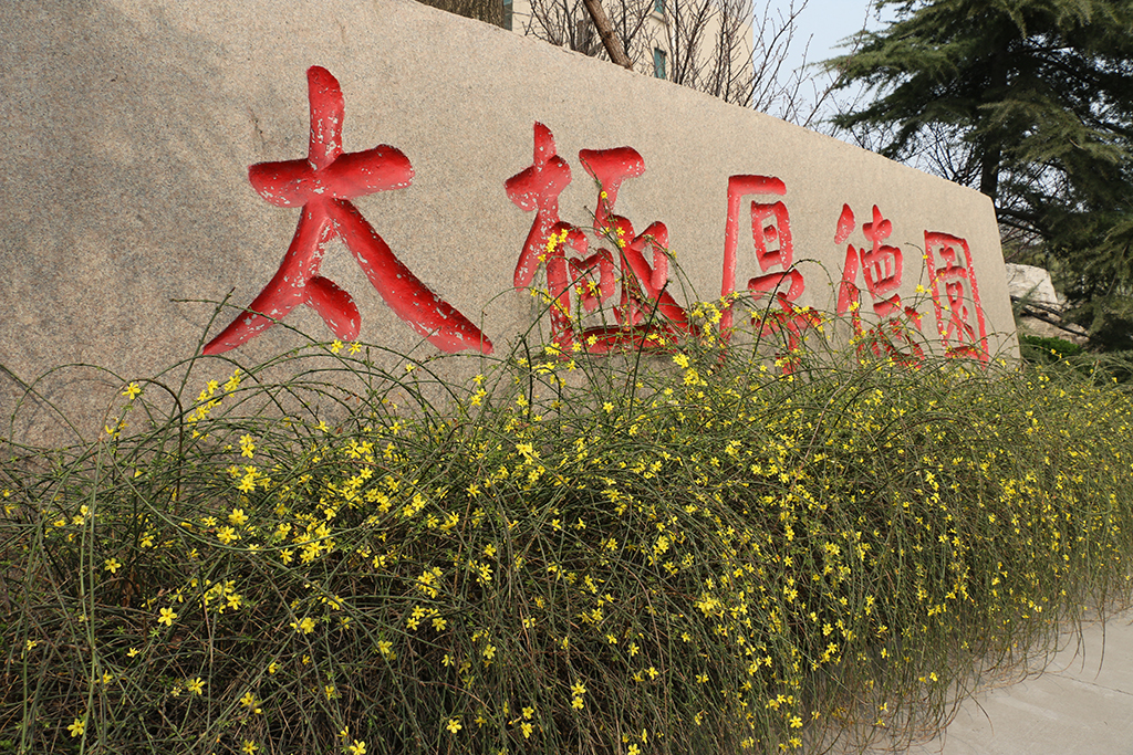 職工生活區(qū)—太極厚德園