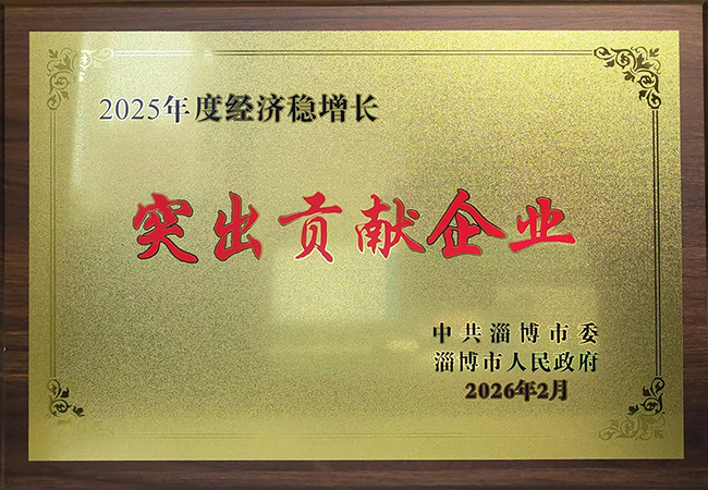 載譽前行 實干賦能｜淄博太極榮獲市級經(jīng)濟穩(wěn)增長突出貢獻企業(yè)稱號